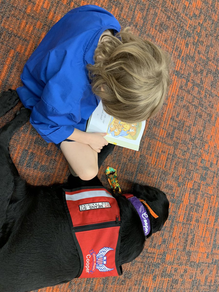 kallen4775's tweet photo. More with Cooper at Library letting kids read to him #readingpaws #dogsoftwitter #therapydogs #librarylabradors https://t.co/F7yQyAJotI