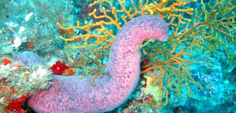 Cube Quebec / Oceatec tweet media