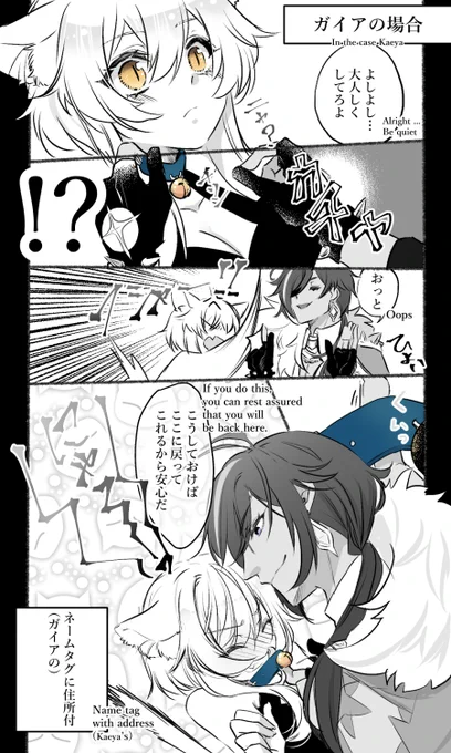 にゃん蛍ちゃんにかまって欲しそうに見られたシリーズ、ガイアVer
#ガイ蛍 #kaelumi 