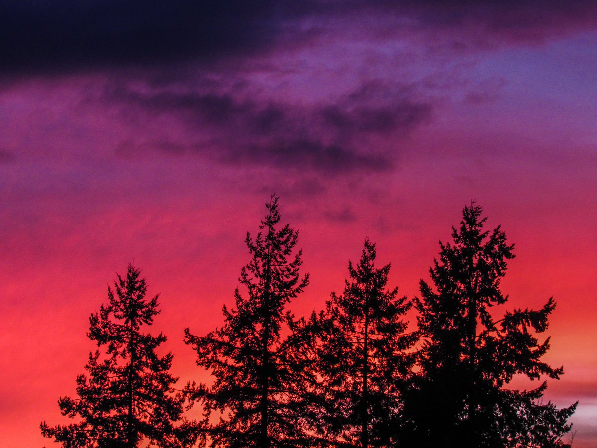 After a gray couple of days, a flash of color to end this first day of March with some shadows of the Olympics on the clouds to add a little flare. #wawx