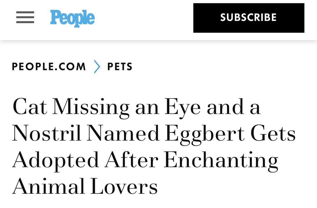 lindasky's tweet photo. Hey @people punctuation matters. Your article indicates that the cat is missing an eye and has a nostril named Eggbert that is also missing? https://t.co/sCR0vIbGdt