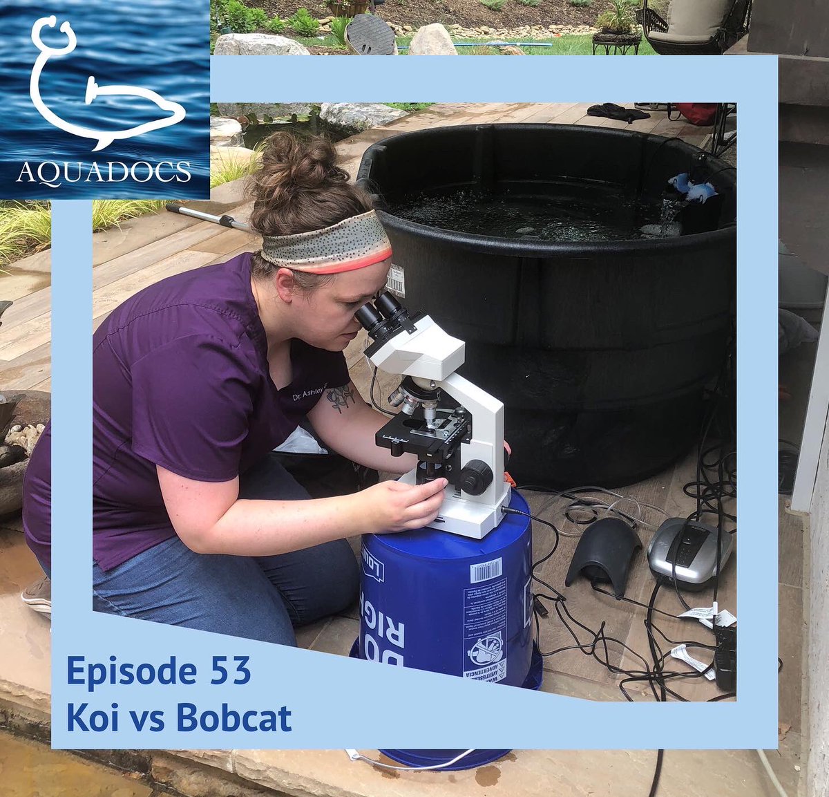 On this weeks episode, Michelle interviews Dr. Ashley Emanuele, owner of Oak City Aquatics Mobile Veterinary Service, a mobile fish practice. During our conversation, we discuss a case she recently worked on involving a koi fish and a bobcat. Spoiler alert, the bobcat wins :-(
