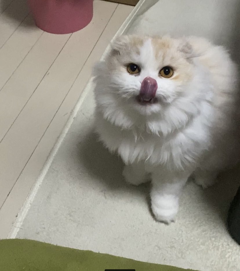 妖怪ベロリンチョ👅