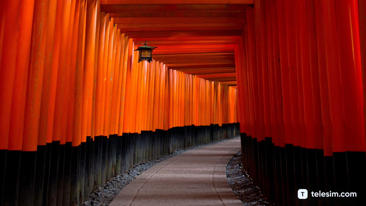 telesimofficial's tweet photo. The traditional orange passage, leading to the Japanese Inari temple.

#Traveltips: Whenever you travel the world, use the Telesim app to have data anywhere you go. #ComingSoon

📷 @vincenttjanssen via Pexels

#vacations  #dreamdestination #traveldestination 
#visitjapan #trip https://t.co/WgxMRdfwET
