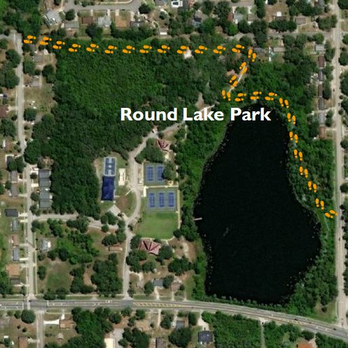 Oviedo Nature (@oviedonature) on Twitter photo Take the <a href="/floridatrail/">Florida Trail Assoc.</a> through #Oviedo's Round Lake #Park (bit.ly/3Kc6aHZ) to enjoy an easy-to-access dose of #nature. #trailtuesday Take the <a href="/floridatrail/">Florida Trail Assoc.</a> through #Oviedo's Round Lake #Park (bit.ly/3Kc6aHZ) to enjoy an easy-to-access dose of #nature. #trailtuesday