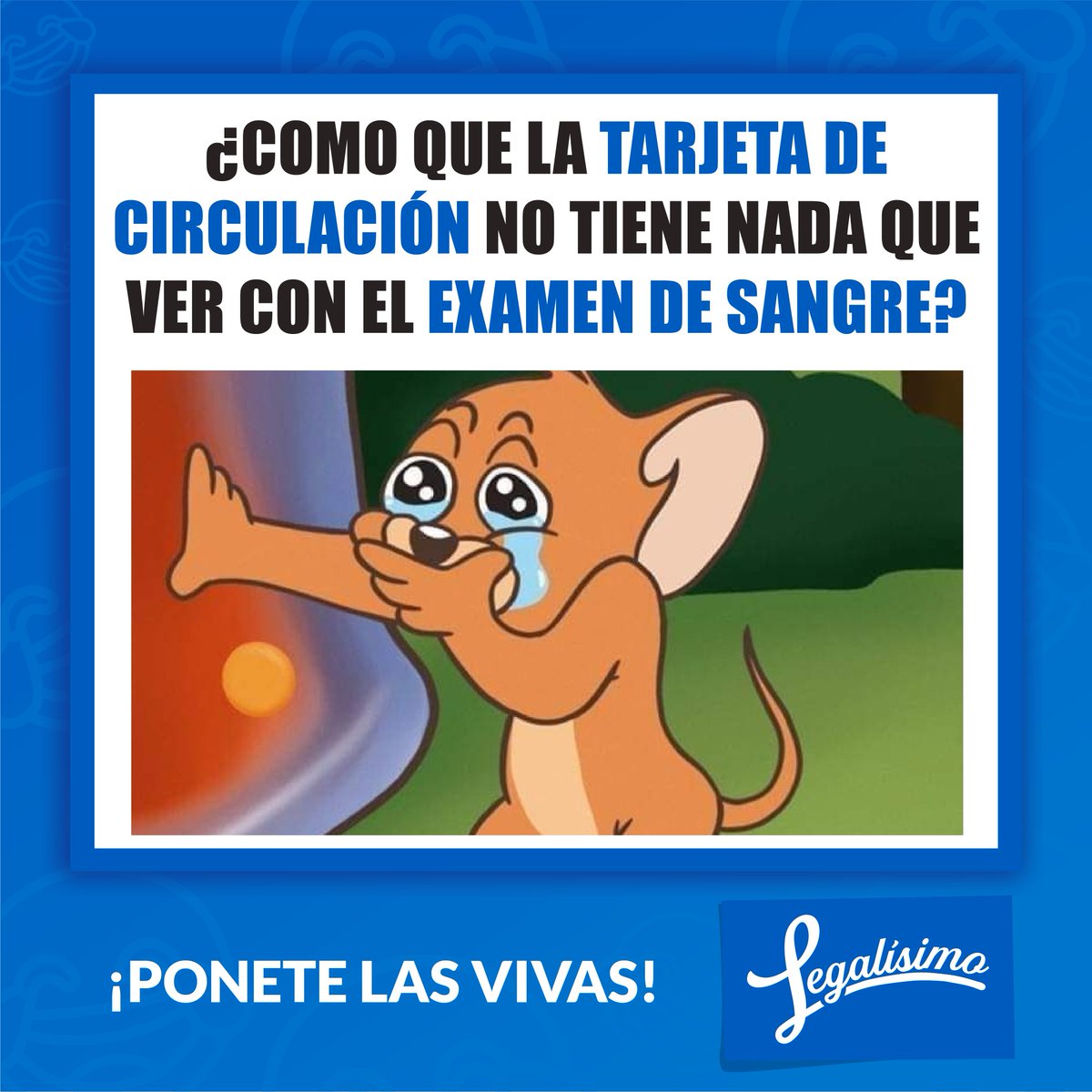 Legalisimo_Sv's tweet photo. Decile a tu chero al que siempre se lo vacilan que tenga cuidado y no le vayan a dar gato por liebre. Legalísimo te facilita traspasos, reposición de placas, contratos y hasta renovación de tarjeta de circulación. Contáctanos al 6065-7308
#Refrenda #TarjetaDeCirculación https://t.co/zPzwDkCrFY