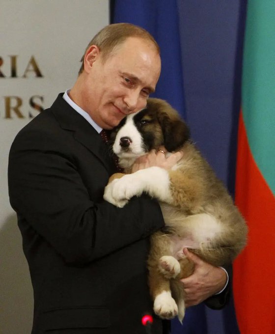 プーチン大統領の愛犬の種類や名前は 子犬の持ち方で怒った 愛犬家エピソード 気になるet Cetera