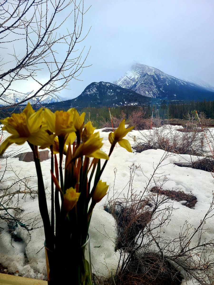 March 1st is St. David’s day, the patron saint of Wales. The national symbol of Wales is the leek, thanks to a victory in battle against the Saxons. As the legend goes....bit.ly/3Iz4ozX
⁠