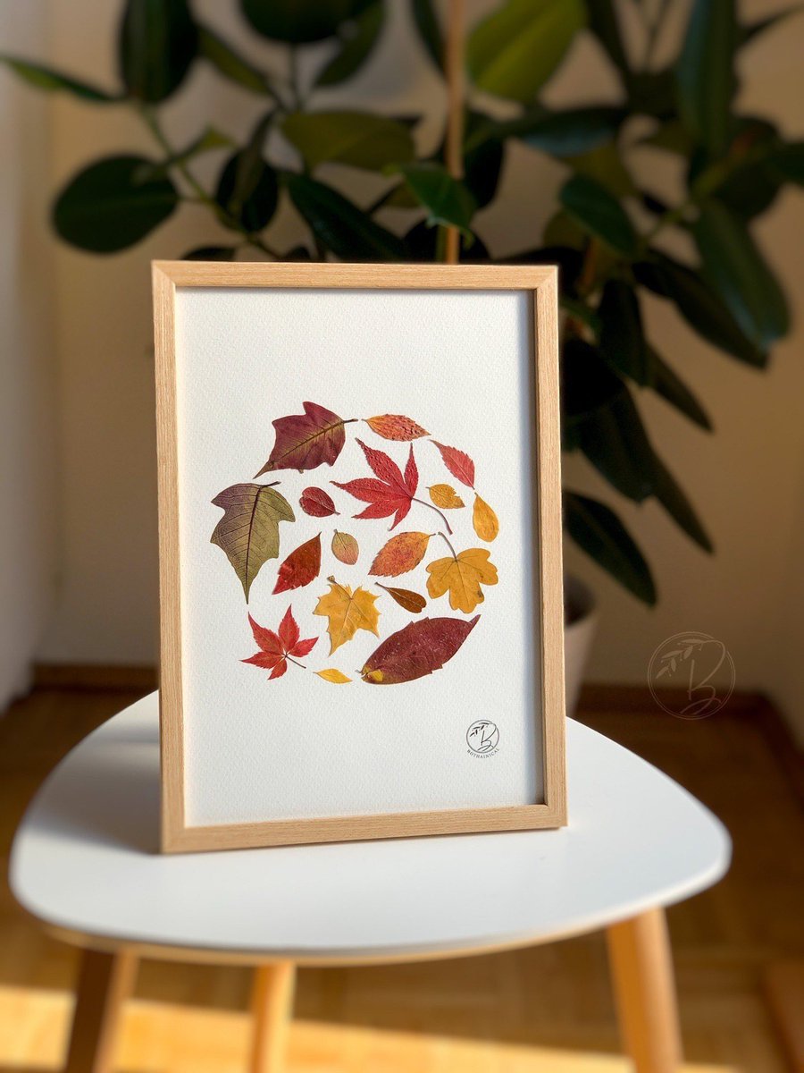 Framed Autumn Leaves  #autumncolors #driedflowers #homedecor  #woodframe  #pressedleaves #handmade #etsy  etsy.me/3vtjrYv