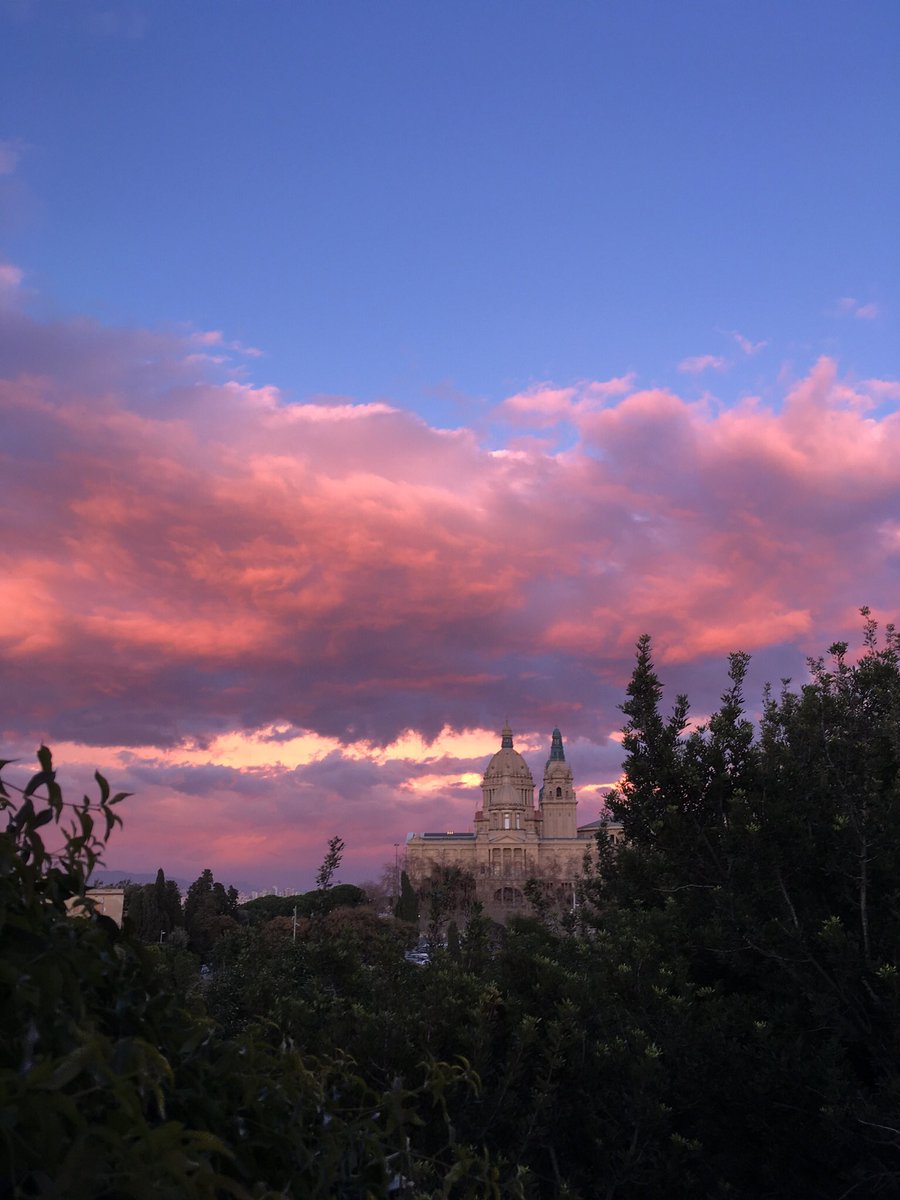 Esmejb_'s tweet photo. Febrero 🥺😢🌸🧡⛰ https://t.co/ejrrR56z6d