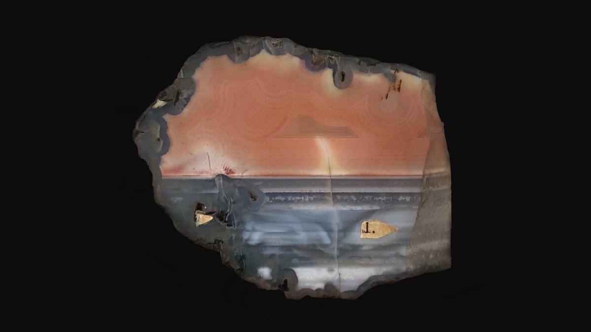 9th July 2022 — Angus