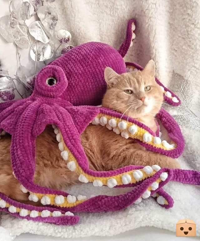 FunSubstance's tweet image. I'm Not Sure I like Where This Is Going 😹🐙

funsubstance.com/fun/637724/im-…

#FunSubstance #Fun2022 #Fun #FunSubstance2022 #FunnyMemes2022 #Cat #FunnyPet #FunnyAnimals #Octopus