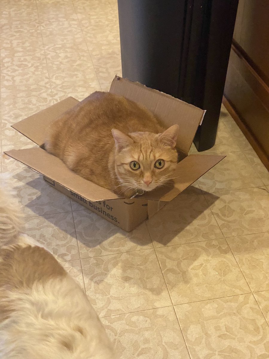 InterestedDove's tweet photo. My box runneth over! Lol! https://t.co/hPW4s5z2wd