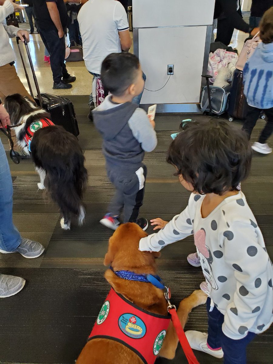 ellaghica's tweet photo. Ms Brandy and Mr Shotgun made lots of friends today in our airport terminals at #IAH #houstonfriendly #RodeoHouston @APTherapyDogs https://t.co/8hYNBRehhB