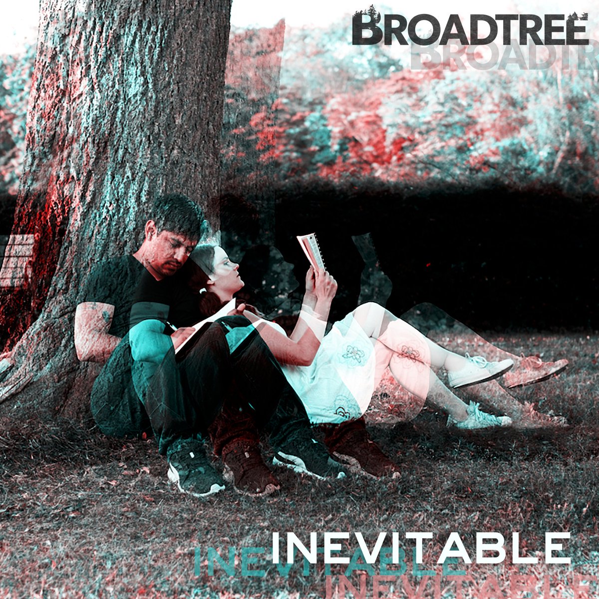 Broadtree tweet media