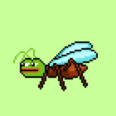 tashbee_'s tweet photo. #NewProfilePic @Avalant_NFT 💚🐜 https://t.co/D6IgzeZO2q