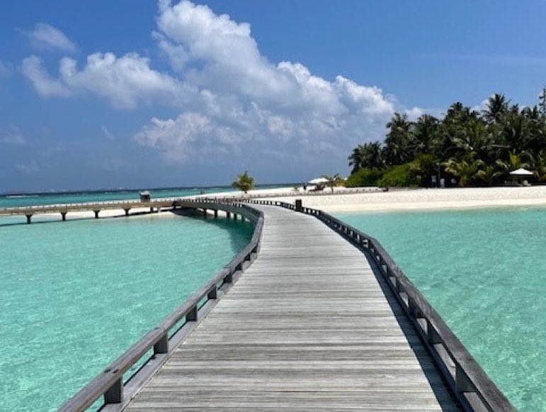 KuoniManchester's tweet image. Our lovely client Rosalind sent us these beautiful pictures of her day today ! What a view to wake up to ! Wow 🏝 dreams do come true #maldives @KuoniManchester