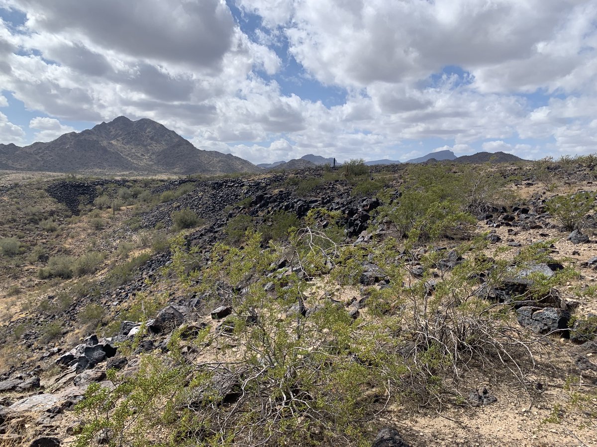The rugged desert landscape offers a quiet reprieve for people and wildlife alike. Preserving the opportunity to escape our busy lives is just one reason we need to #ProtectGreatBend.