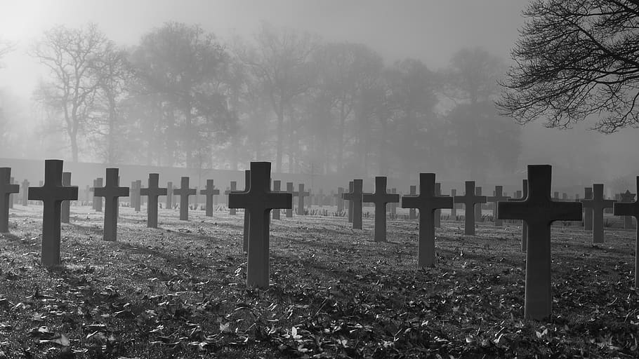 "All war is a symptom of man's failure as a thinking animal."

–John Steinbeck