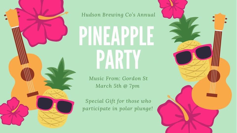 Back in action this Saturday! Hudson Brewing Co from 7-10pm. 99 South 3rd Street! Hudson, NY 12534 Great craft brews and jams! #local518