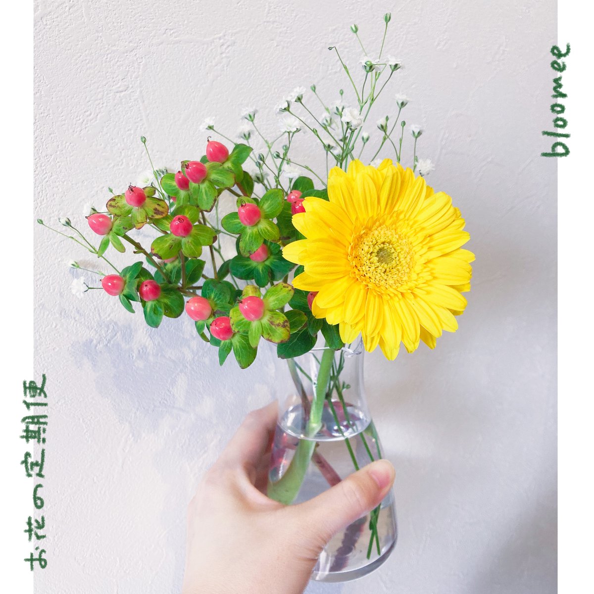 今週のお花は色んな色が入ってて、
娘のお気に入りのようでした💐
もうすぐ春だ🌸

bloomee(@bloomee_jp)

👇公式サイト👇
https://t.co/UBaW4CybQR…

#ブルーミー #bloomee #お花の定期便 #お花のサブスク #PR 