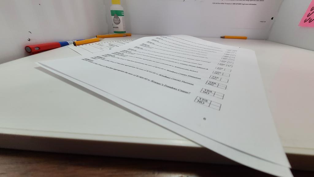 BrendaForVT's tweet photo. Get out and vote my peeps! You still have a little time!

Good luck to all the amazing candidates on the ballot who WILL change representation &amp; protect our democracy. Feeling so grateful to all of you!

#vtpoli #voteeverydamntime https://t.co/0lnSoLsiIR