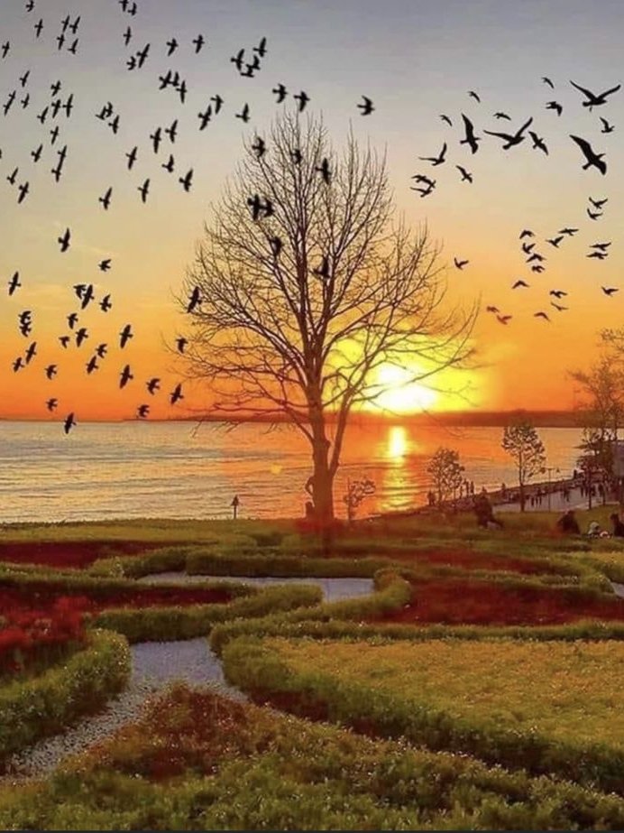 IC316's tweet photo. "If you want peace of mind, stop fighting with your thoughts." https://t.co/G0DFKNBobG