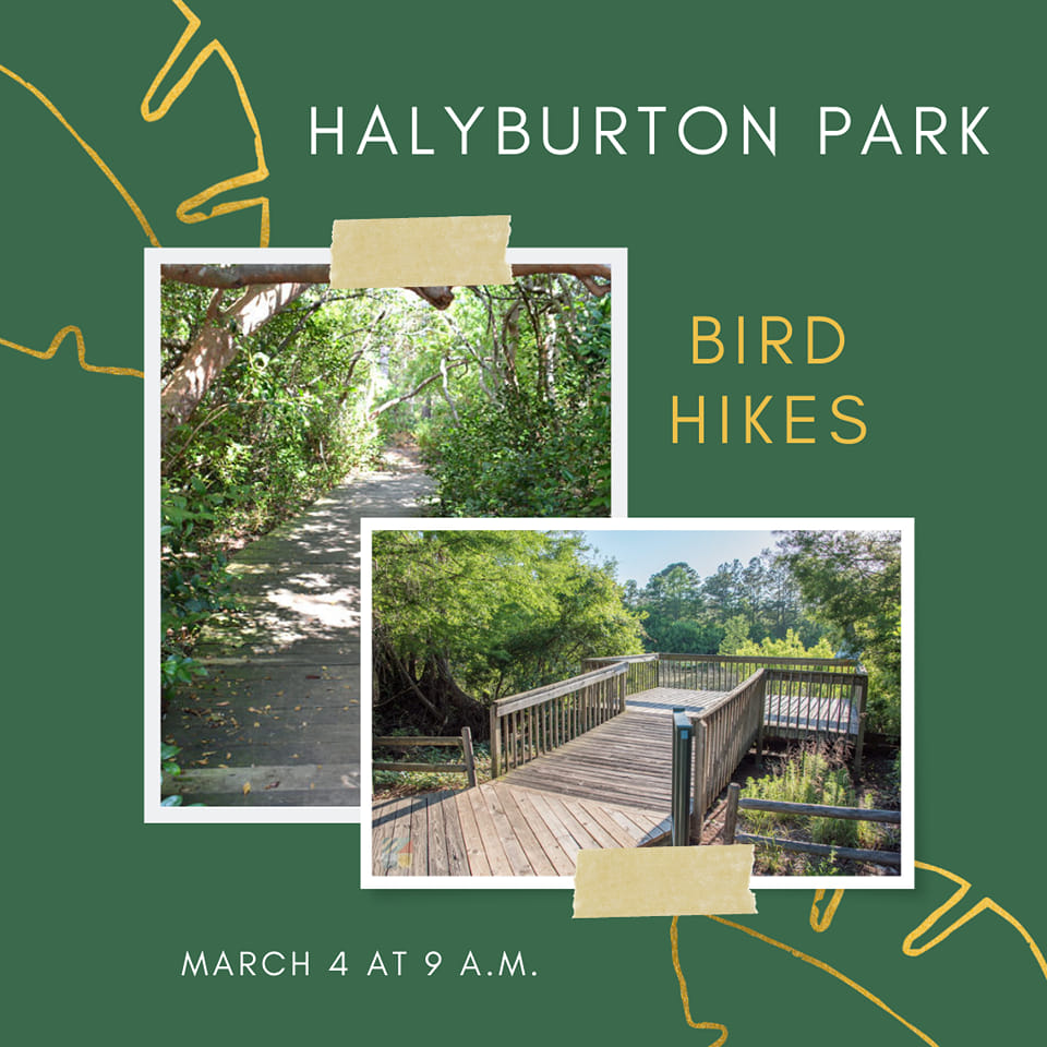 This Friday, March 4, join park staff at Halyburton Park for a leisurely bird watching stroll. They'll be searching for migrants, residents, and point outing year-round species. Pre-registration is required. Cost is free. For ages 5 and up.
Photos from capefear-nc.com/halyburton-par…