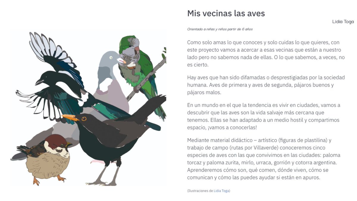 SOScotorras's tweet photo. Genial esta iniciativa de educación en valores, unos "talleres didáctico artísticos para conocer a las aves del distrito de Villaverde 🌳🦜🕊️🐦 y fomentar pequeños agentes de cambio en su protección y cuidado". "Mis vecinas las aves", para niños y niñas desde los 6 años.+ info👇 https://t.co/ezQsLOT6b6