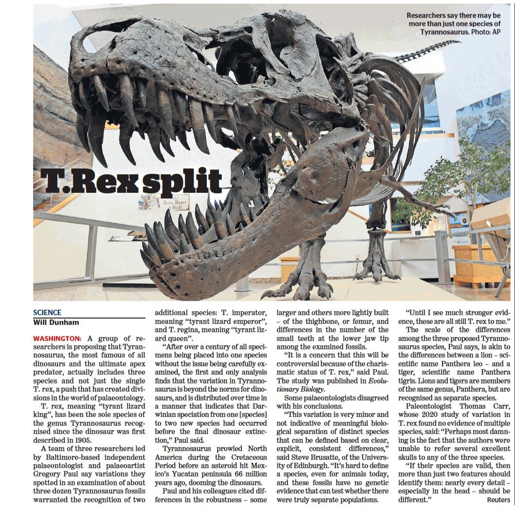 Tiny T. rex fossils may be distinct species – but not everyone