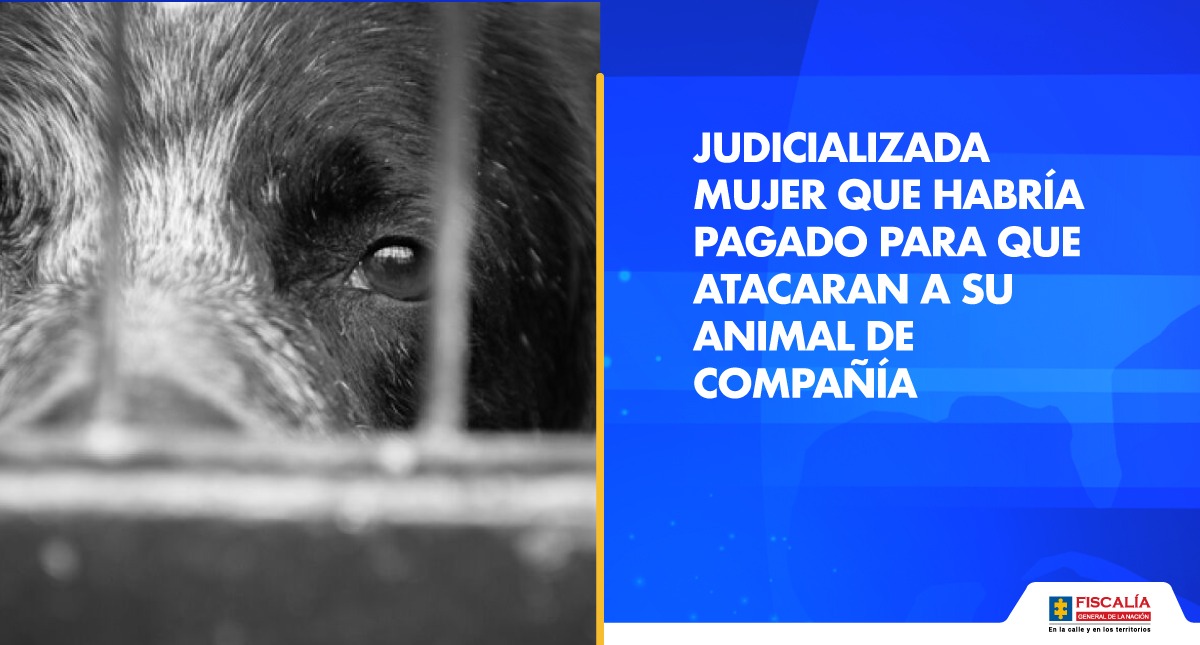El 31 de enero de 2021, en Sincelejo, #Sucre, Aida Luz Paternina habría pagado $5.000 a un menor de edad para que atacara y acabara con la vida de Sparky, su perro de compañía, porque al parecer tenía muchas garrapatas.
Más información: bit.ly/36HPdXb