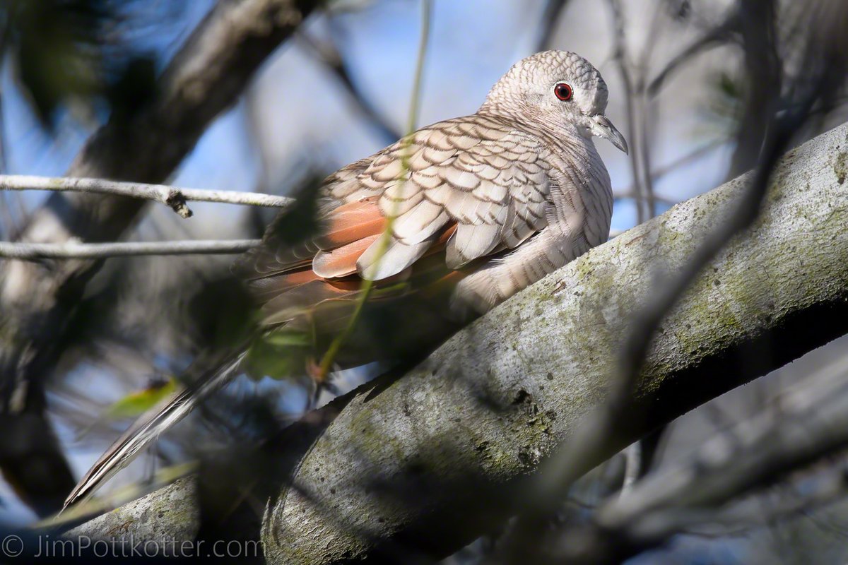 Jim Pottkotter tweet media