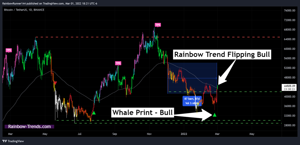 RRunner144's tweet photo. After 87 DAYS, we have finally printed our first BULLISH daily candle close for $BTC! ππ
The Bull Whale Print I shared a few days ago now officially has secondary confirmation on the Rainbow Trend π€―π
#Bitcoin #Crypto #RainbowTrend #BTC #TradeInColors #LesGoh https://t.co/7w3IqXbG9J