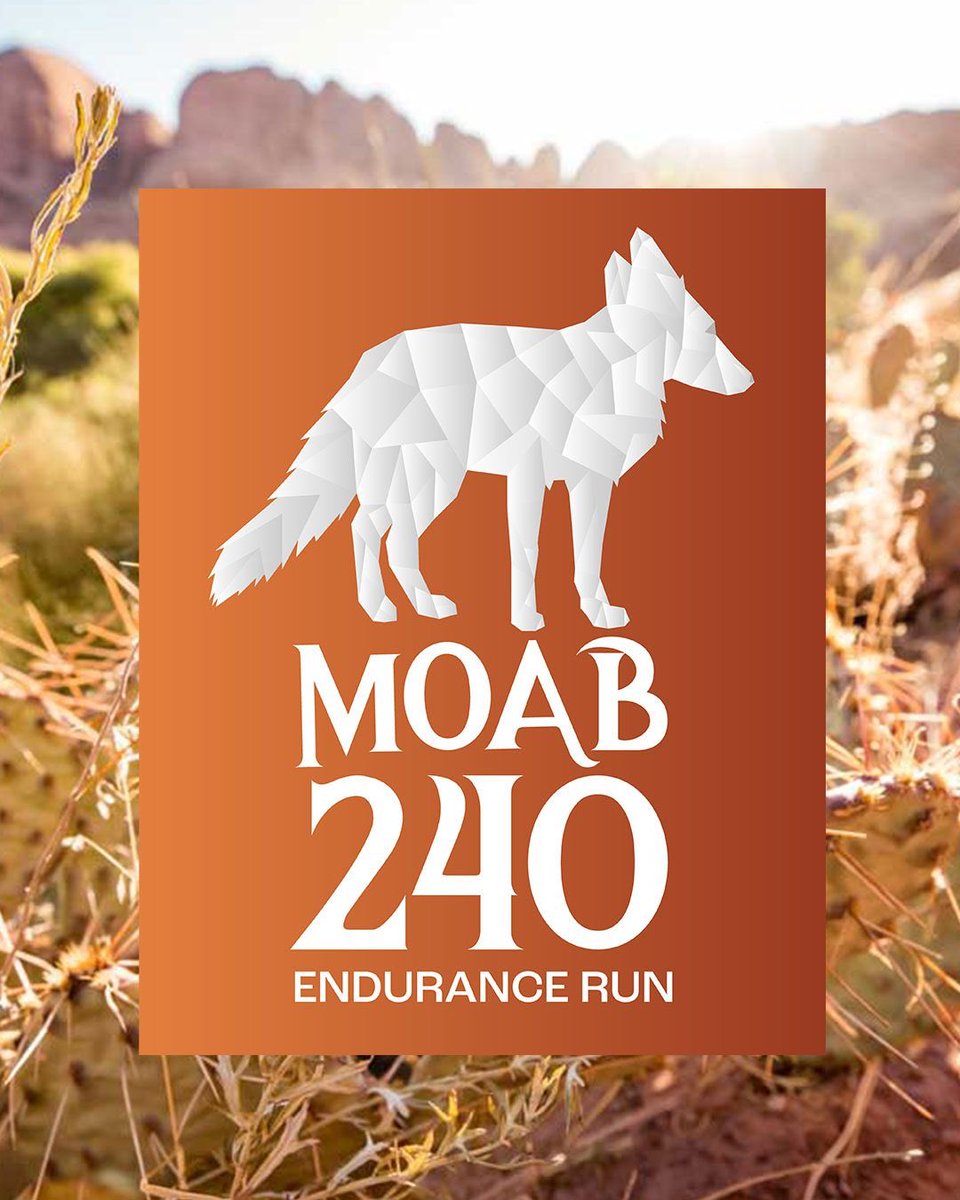 Destination Trail tweet media