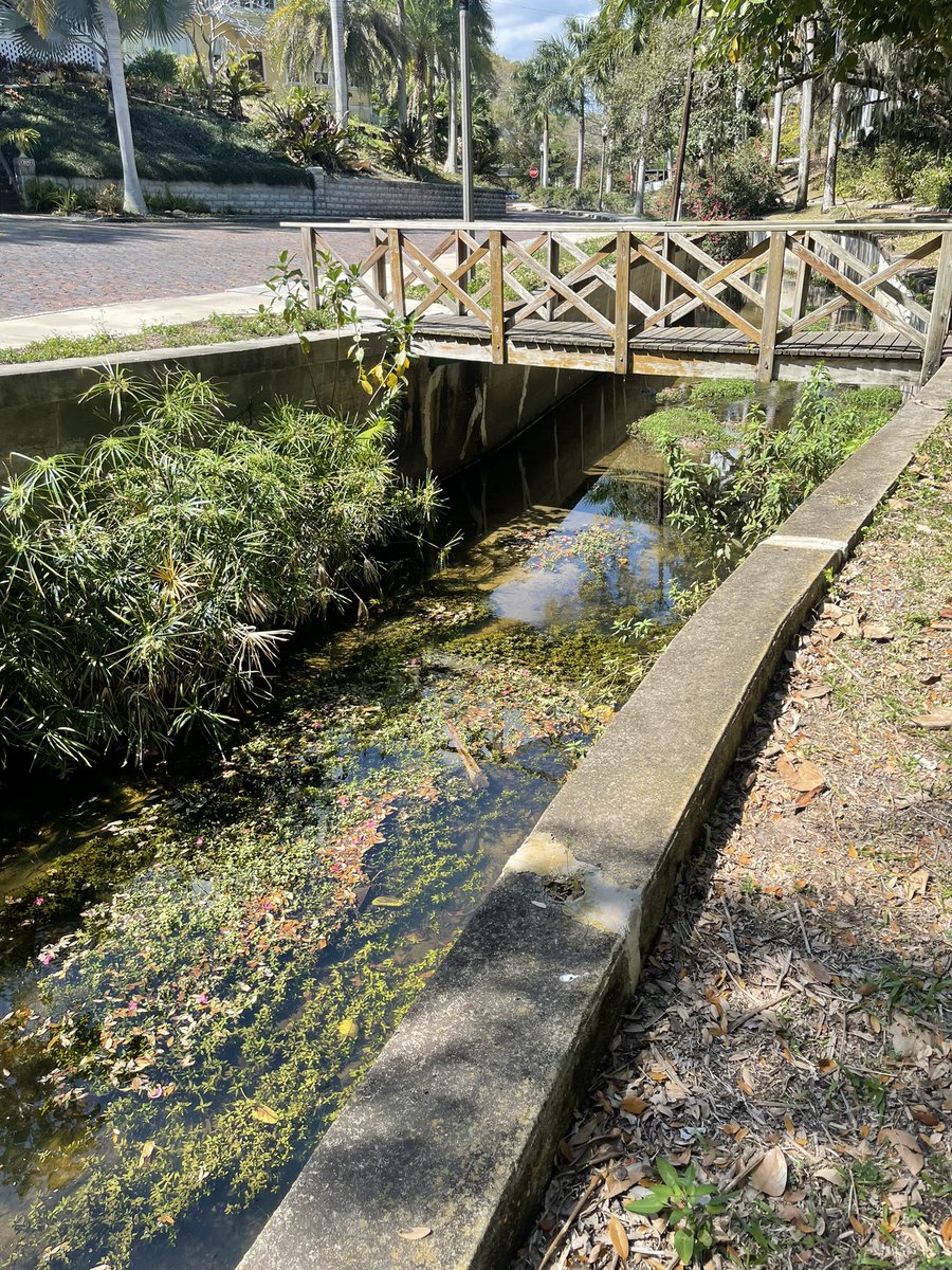 Sometimes you gotta take a break from the #NFTCommunity and go on a nice walk, work on ya selves kangz and queenz