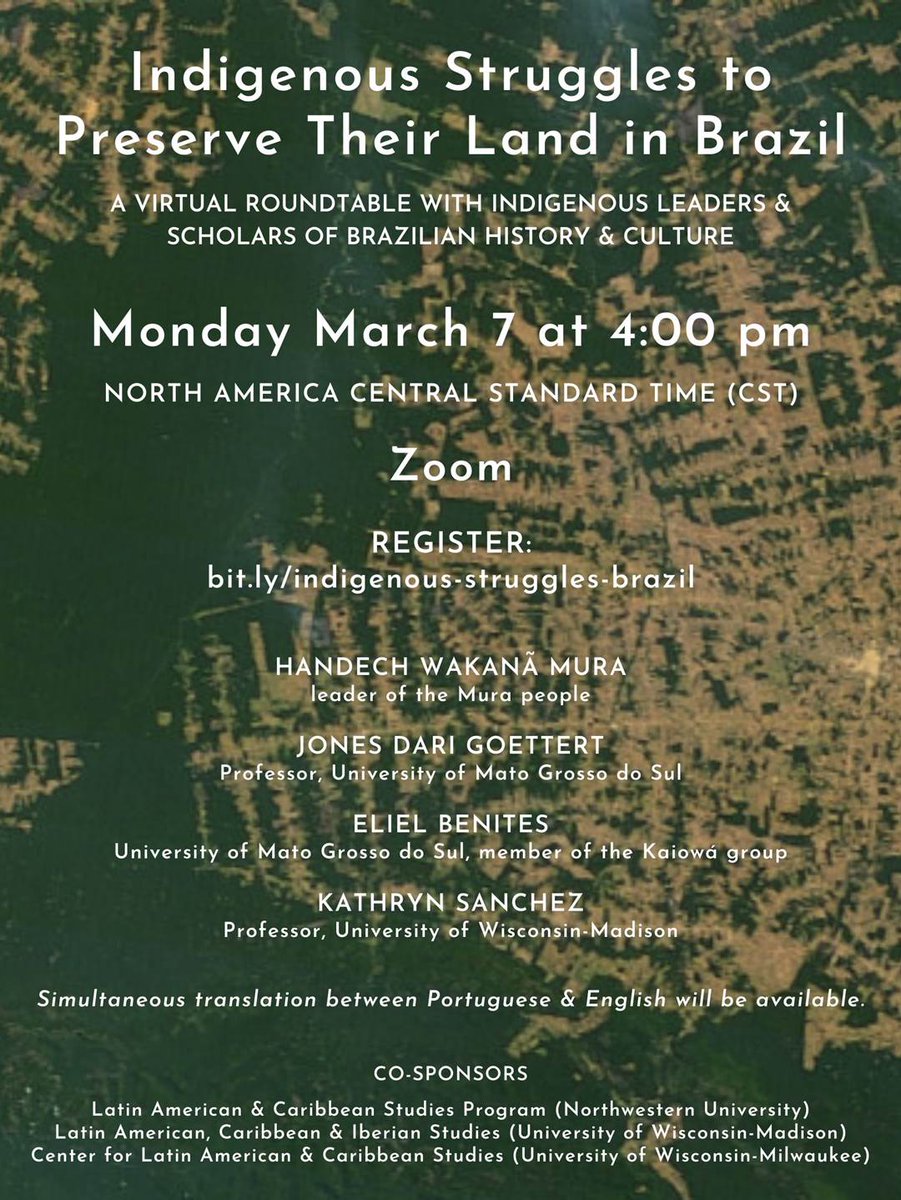 tuliafa's tweet photo. Part of the @LASACENTERSLAS LASA Center Directors Section monthly series on *Indigeneity, Afro-descendants, and other marginalized populations in Latin America*. Next Monday, 3/7 @ 5pm ET. Don't miss it! https://t.co/aWmW41ZSY7