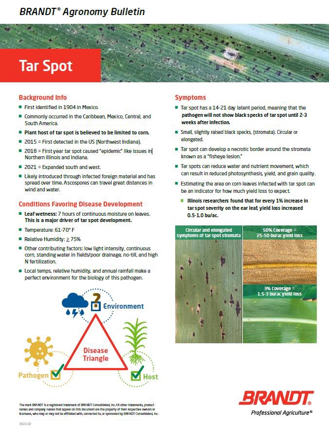 Brian Dintelmann tweet media