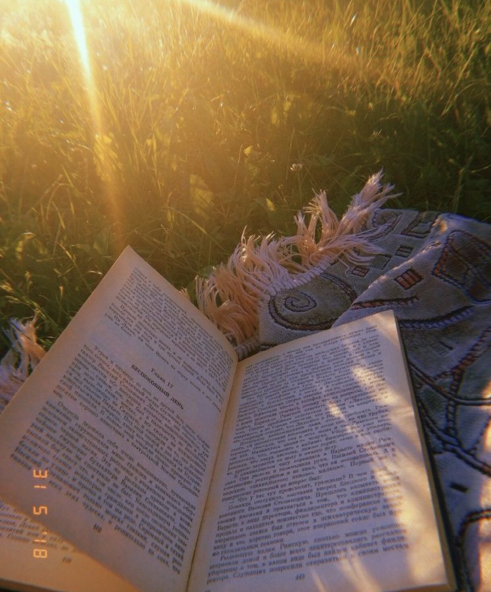 Лето с книгой