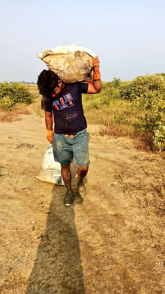 OdishaMangroveC's tweet photo. Week- 8

165kgs..

Finally,I've reached on cleaning more than 1 ton of plastic garbages through my Cleanup venture.

On a mission to nurture the ecological diversity of our earth by removing mangrove trashes on the Odisha Coast. 1,100 kilos removed!

 Join me to Pull the next! 🌊 https://t.co/bVkYWdRGJM