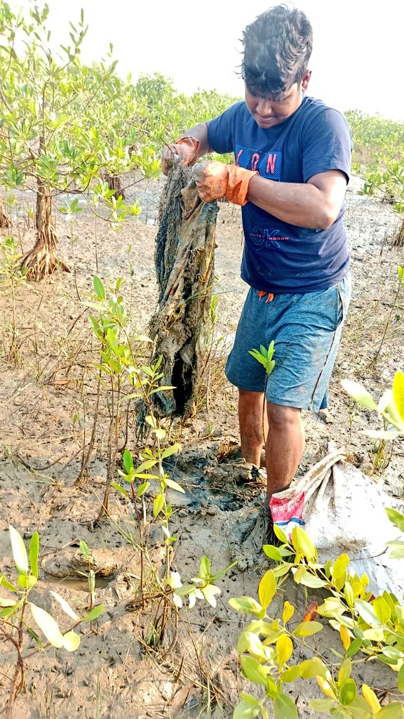 OdishaMangroveC's tweet photo. Week- 8

165kgs..

Finally,I've reached on cleaning more than 1 ton of plastic garbages through my Cleanup venture.

On a mission to nurture the ecological diversity of our earth by removing mangrove trashes on the Odisha Coast. 1,100 kilos removed!

 Join me to Pull the next! 🌊 https://t.co/bVkYWdRGJM