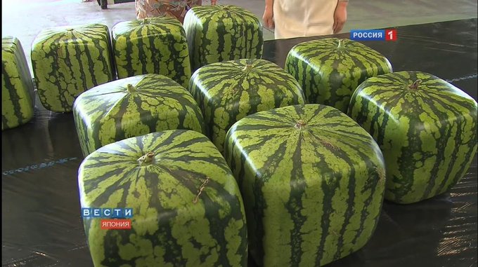 anyone like my new minecraft texture pack? https://t.co/3zp7BElQRK<a href="/tag/easter"class="tags"><span>#easter</span></a><a href="/tag/facts"class="tags"><span>#facts</span></a><a href="/tag/easter2022"class="tags"><span>#easter2022</span></a>