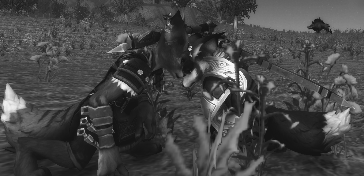 one of the first pictures I took of these two lovebirds