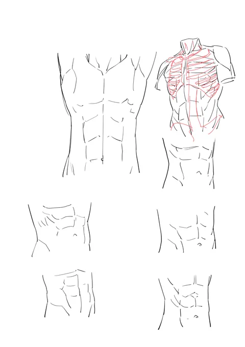 練習
スカルプターのための美術解剖学を模写 