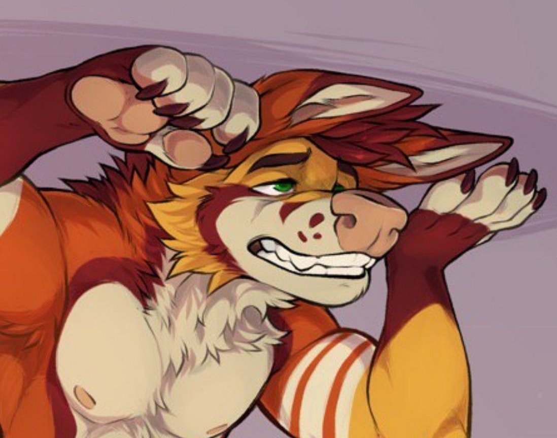 Deggy's Feel'n Foxy~🦊🟧-⃝⃤🟧✨ tweet media