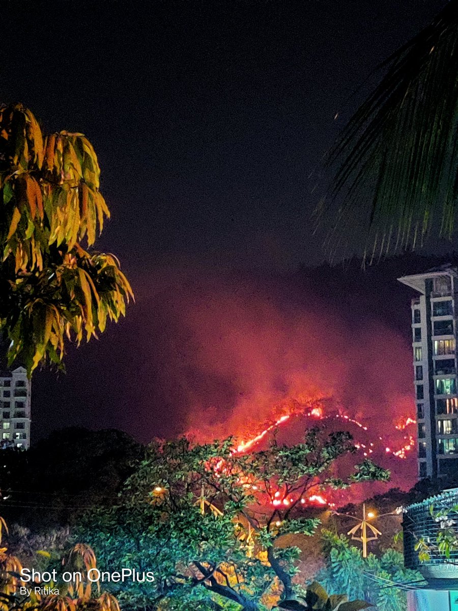 RitikaShedge's tweet photo. #KhargharFire #KhargharSector6 #KhargharHills #NaviMumbai 
Current update: It's decreasing as of now in this spot https://t.co/GqJS5JDZuW