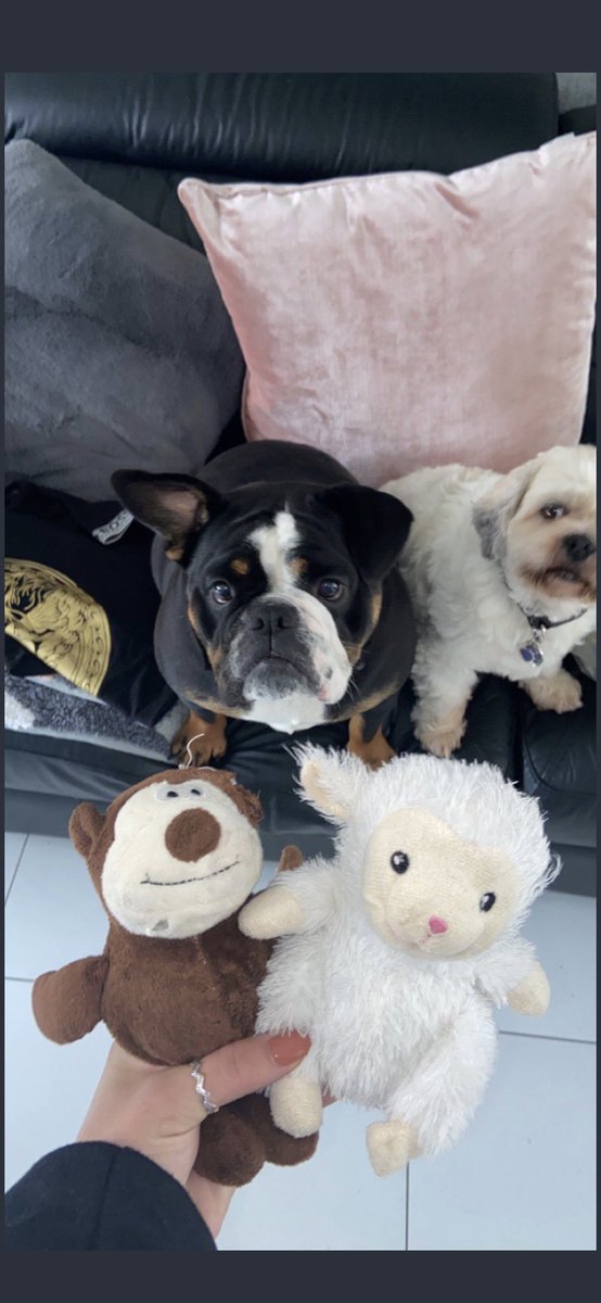 Two years on and she still does this to her teddies ears 😭😭😭