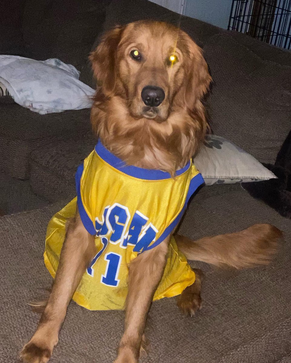 Keisha Perry tweet media