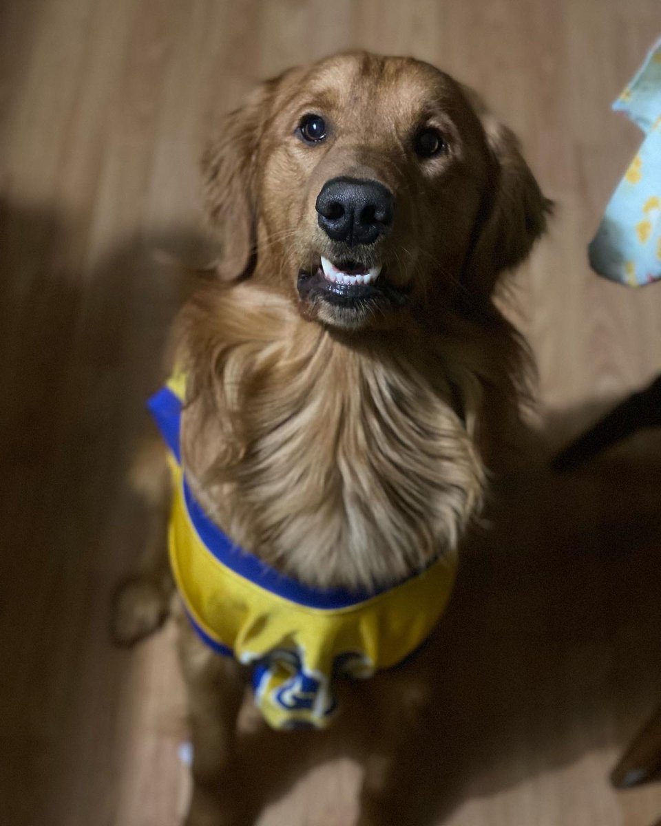 Keisha Perry tweet media