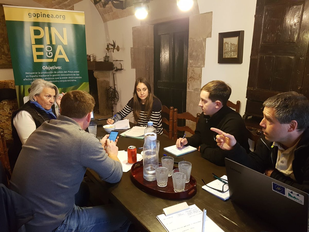 go_pinea's tweet photo. Reunión de trabajo del #GOPINEA entre @coopforestal @irtacat y Forestal Catalana, discutiendo acerca del monitoreo de las poblaciones de Leptoglossus y la instalación de trampas para su captura. https://t.co/IrInPbrokD