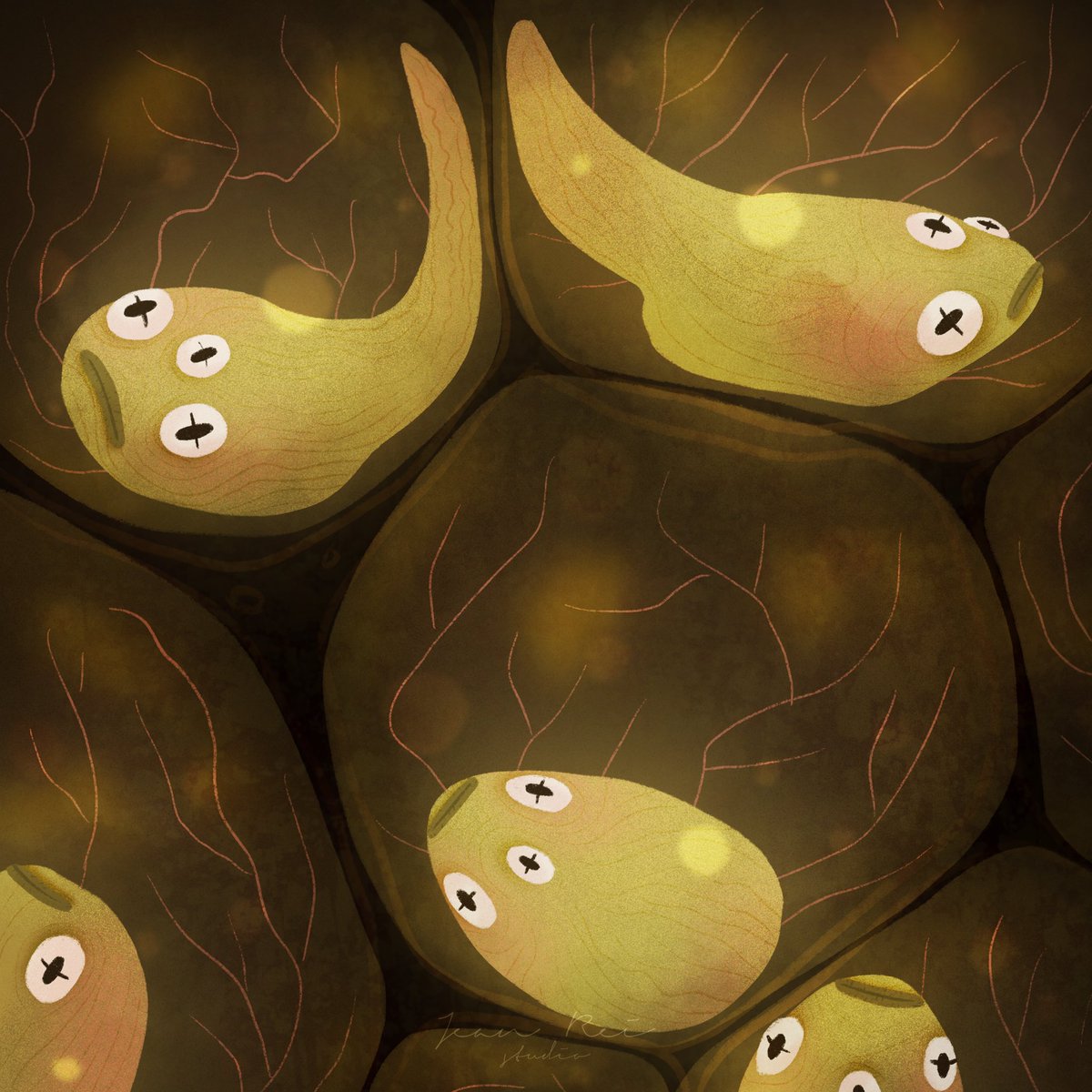 jeanreistudio's tweet photo. Magic frogs. They originate in the depths of space and are protected by a special creature. Each of them is a future little life. A little magical life!

#darkart #macabreart #horrorart #frog #frogart #froglover #frogmagic #oc #originalcharacter #procreate #fairytaleart https://t.co/aaN9lzB8Kl
